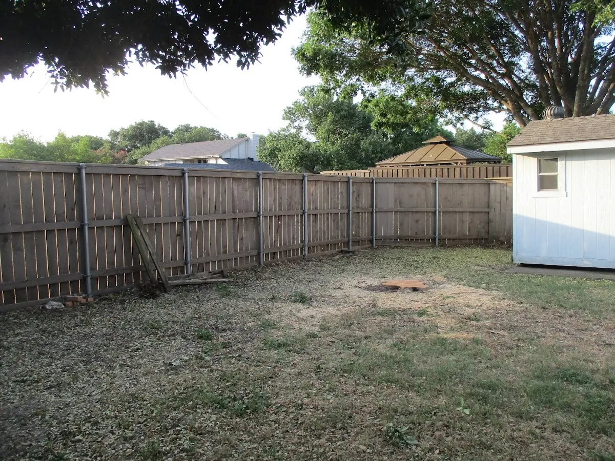 Cleared yard after professional tree removal in Hat Creek
